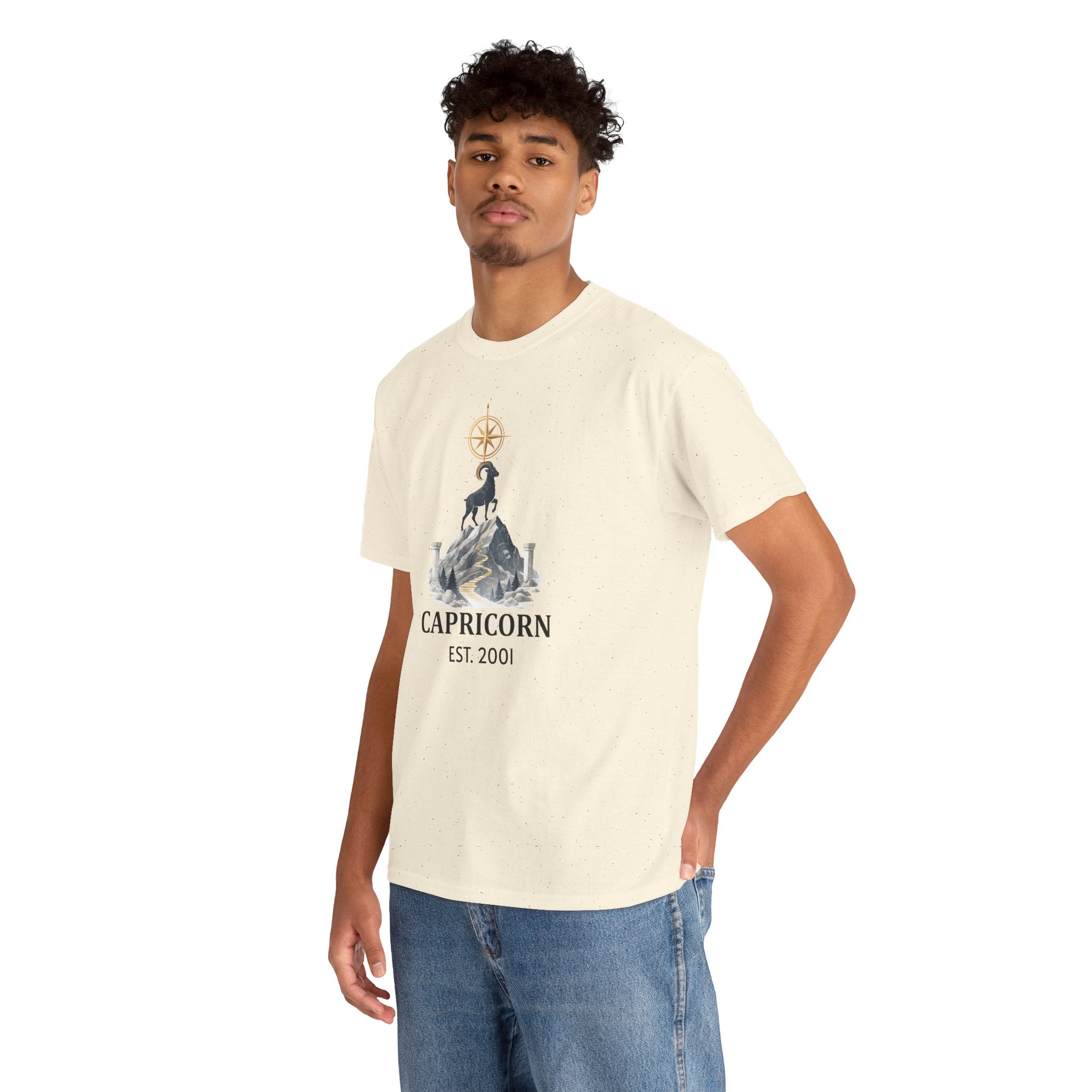 Capricorn zodiac t-shirt styled in a lifestyle home setting