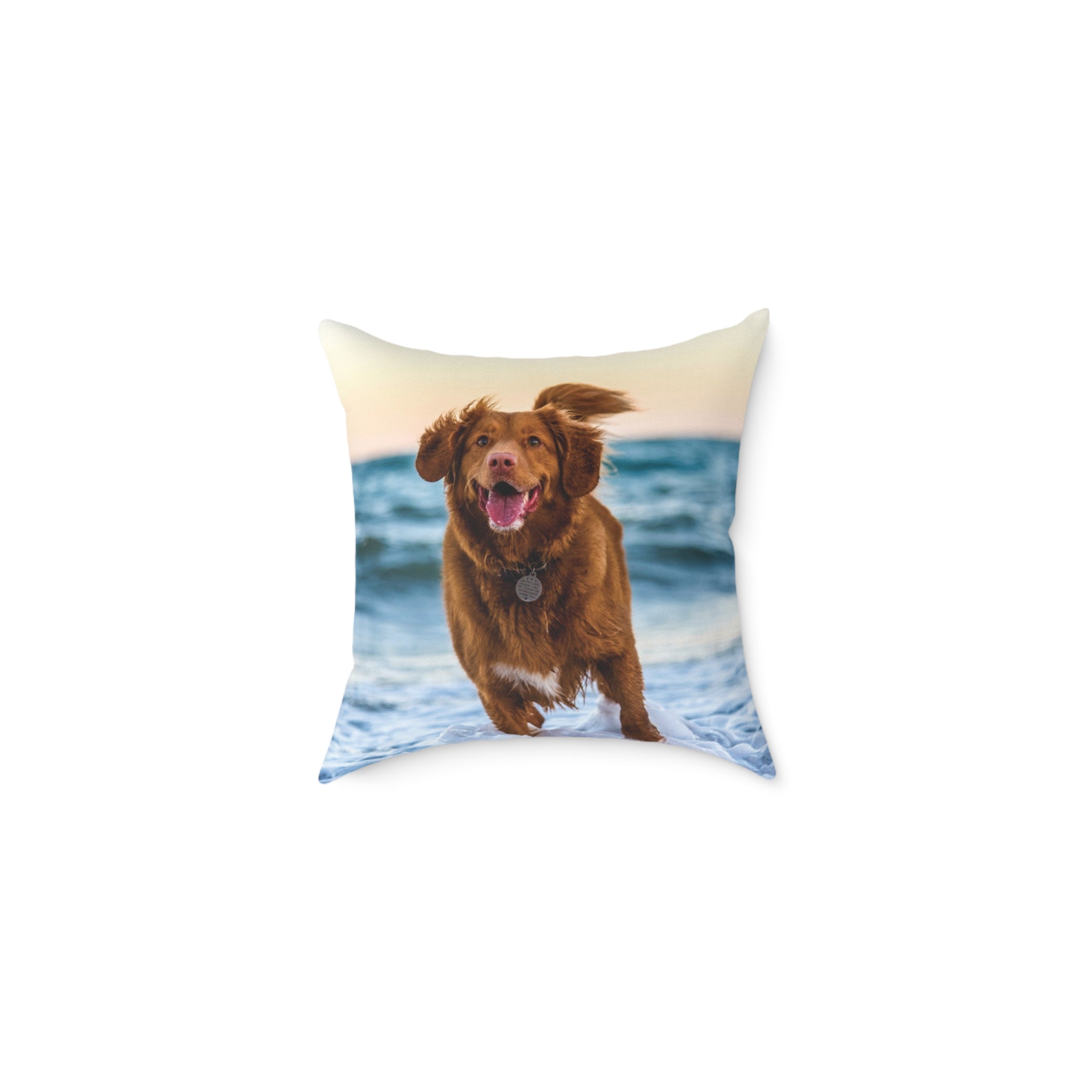 Custom pet photo pillow with full-bleed dog beach photo print
